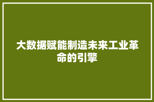 大数据赋能制造未来工业革命的引擎