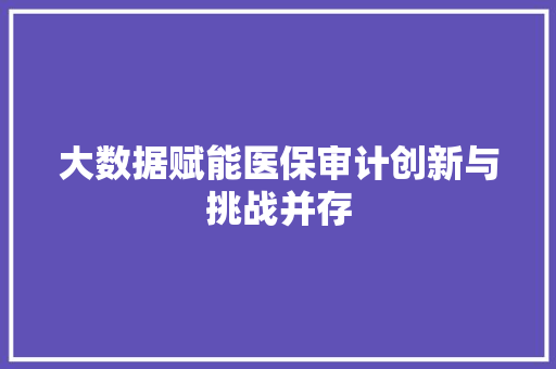 大数据赋能医保审计创新与挑战并存