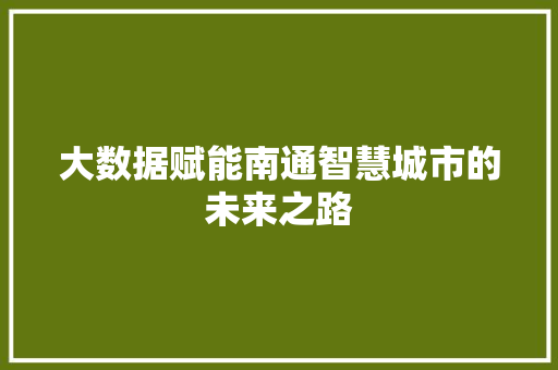 大数据赋能南通智慧城市的未来之路