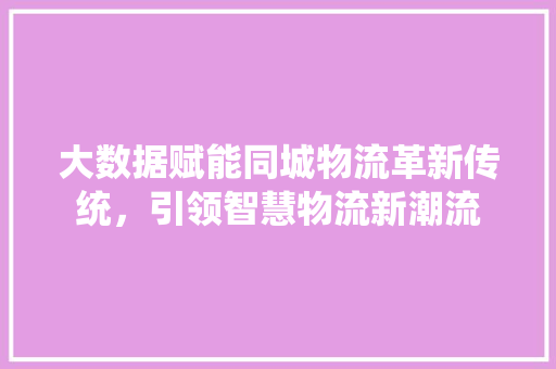 大数据赋能同城物流革新传统，引领智慧物流新潮流