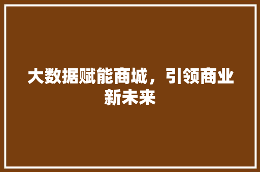 大数据赋能商城，引领商业新未来