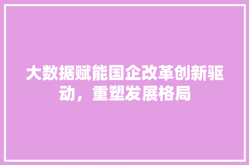 大数据赋能国企改革创新驱动，重塑发展格局