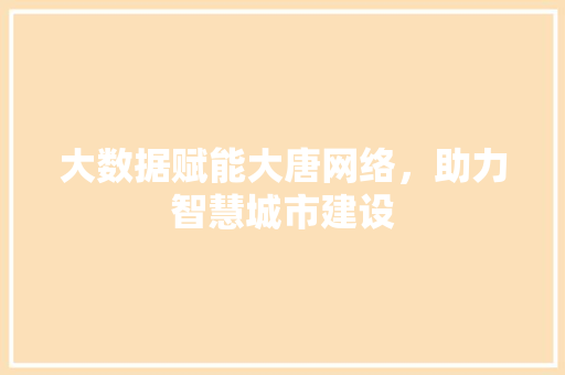 大数据赋能大唐网络，助力智慧城市建设