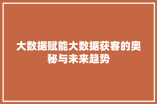 大数据赋能大数据获客的奥秘与未来趋势
