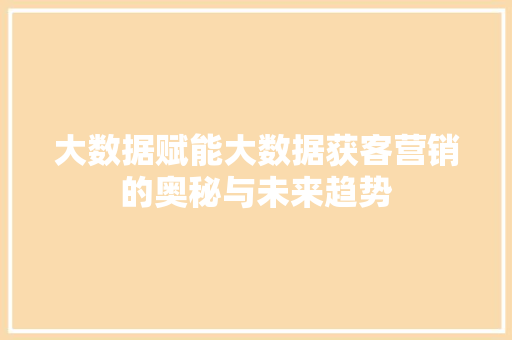 大数据赋能大数据获客营销的奥秘与未来趋势