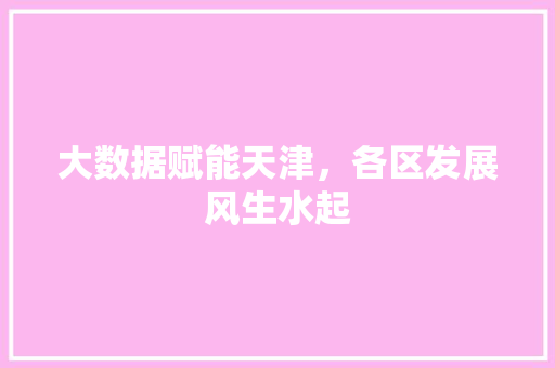 大数据赋能天津，各区发展风生水起