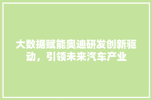 大数据赋能奥迪研发创新驱动，引领未来汽车产业