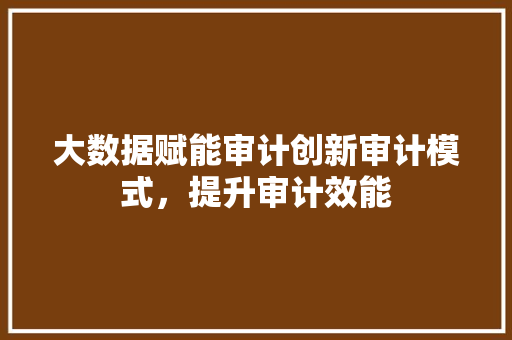大数据赋能审计创新审计模式，提升审计效能