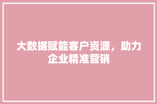 大数据赋能客户资源，助力企业精准营销
