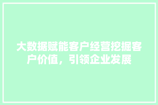 大数据赋能客户经营挖掘客户价值，引领企业发展