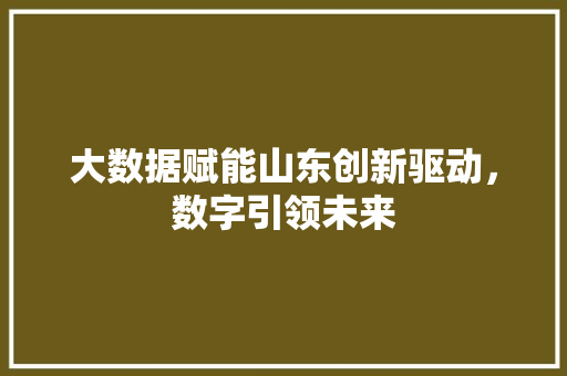 大数据赋能山东创新驱动，数字引领未来