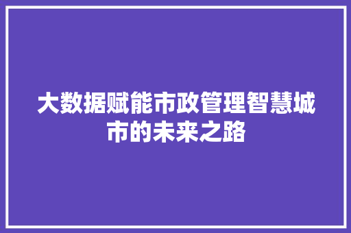 大数据赋能市政管理智慧城市的未来之路