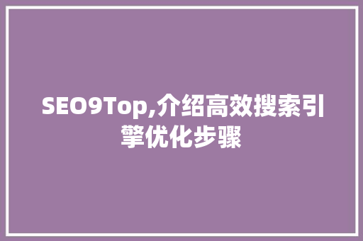 SEO9Top,介绍高效搜索引擎优化步骤