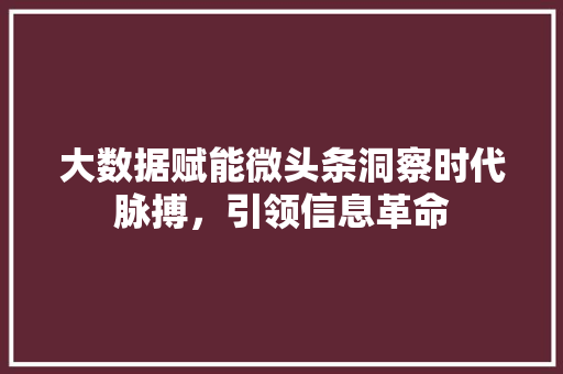 大数据赋能微头条洞察时代脉搏，引领信息革命