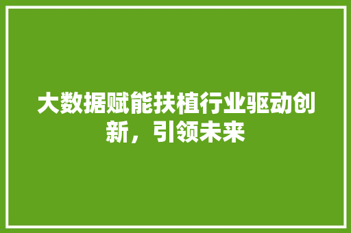 大数据赋能扶植行业驱动创新，引领未来