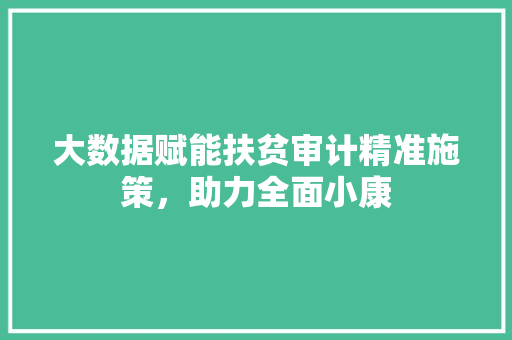 大数据赋能扶贫审计精准施策，助力全面小康