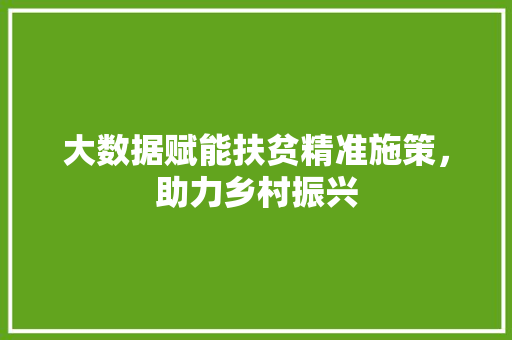 大数据赋能扶贫精准施策，助力乡村振兴