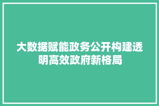 大数据赋能政务公开构建透明高效政府新格局