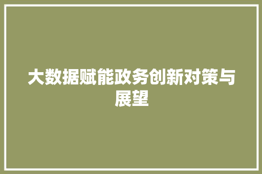 大数据赋能政务创新对策与展望