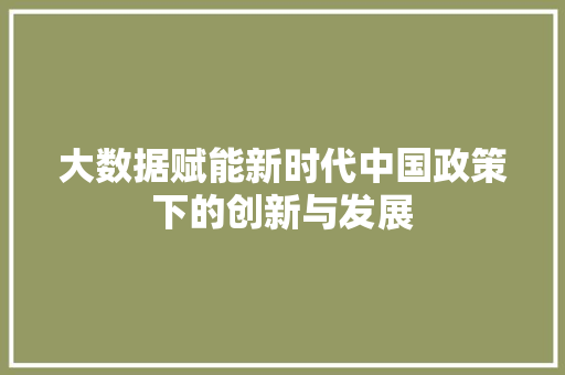 大数据赋能新时代中国政策下的创新与发展
