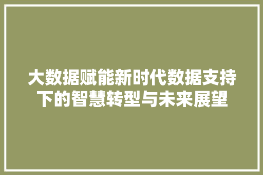 大数据赋能新时代数据支持下的智慧转型与未来展望