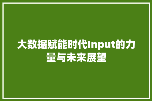 大数据赋能时代Input的力量与未来展望
