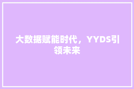 大数据赋能时代，YYDS引领未来