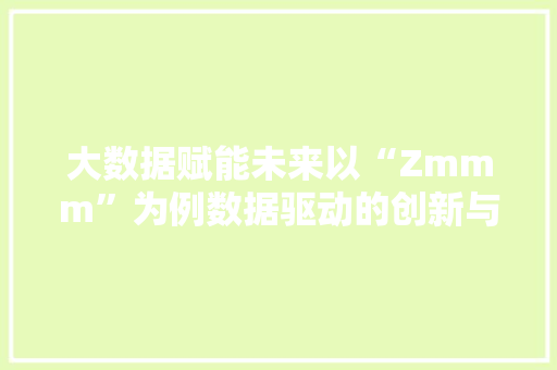 大数据赋能未来以“Zmmm”为例数据驱动的创新与发展