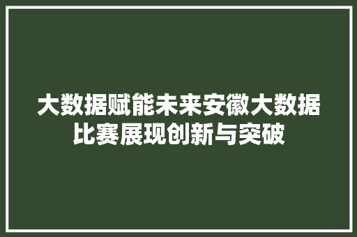 大数据赋能未来安徽大数据比赛展现创新与突破
