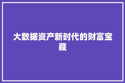 大数据资产新时代的财富宝藏