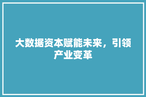 大数据资本赋能未来，引领产业变革
