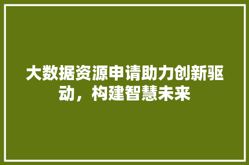 大数据资源申请助力创新驱动，构建智慧未来
