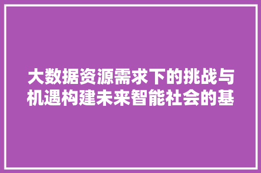大数据资源需求下的挑战与机遇构建未来智能社会的基石