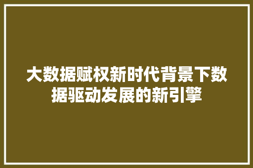大数据赋权新时代背景下数据驱动发展的新引擎