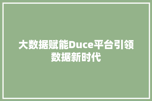 大数据赋能Duce平台引领数据新时代