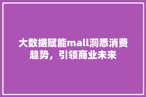大数据赋能mall洞悉消费趋势，引领商业未来