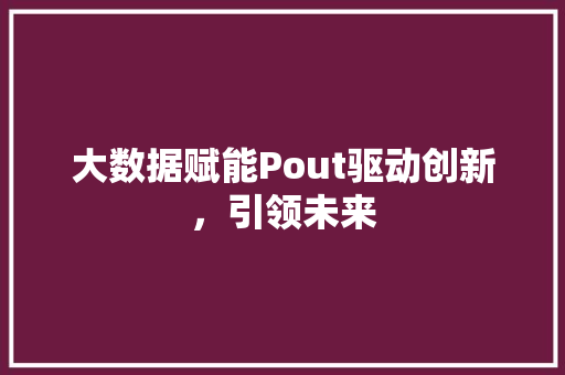 大数据赋能Pout驱动创新，引领未来