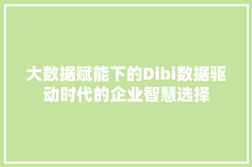 大数据赋能下的Dibi数据驱动时代的企业智慧选择