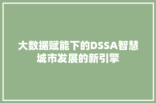 大数据赋能下的DSSA智慧城市发展的新引擎
