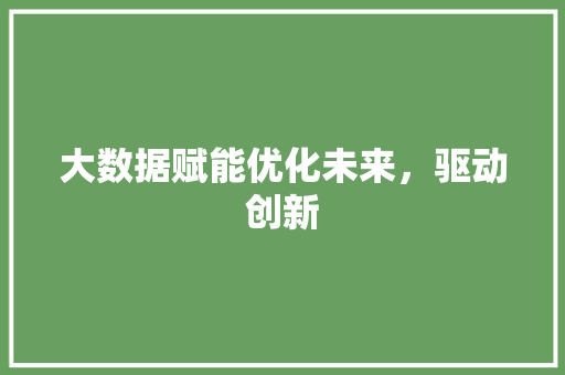 大数据赋能优化未来，驱动创新