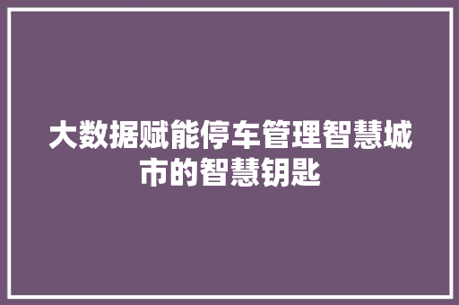 大数据赋能停车管理智慧城市的智慧钥匙