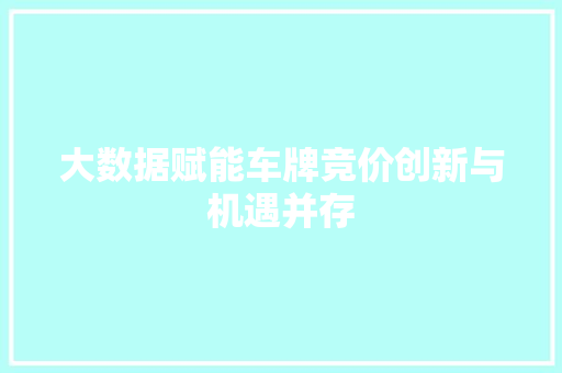 大数据赋能车牌竞价创新与机遇并存