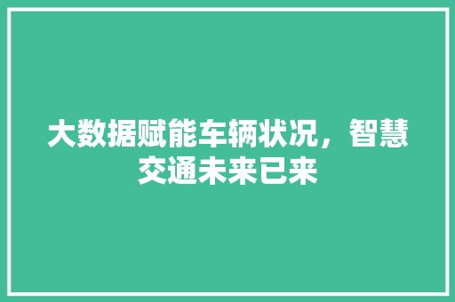 大数据赋能车辆状况，智慧交通未来已来