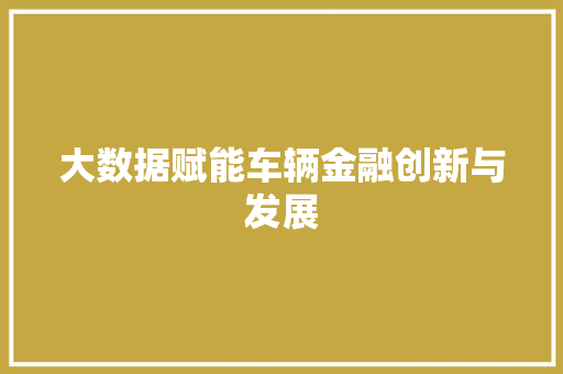 大数据赋能车辆金融创新与发展