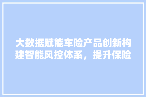 大数据赋能车险产品创新构建智能风控体系，提升保险服务品质