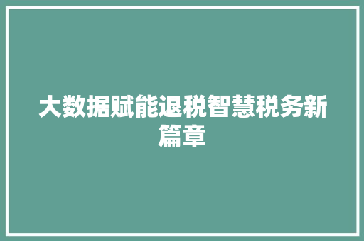 大数据赋能退税智慧税务新篇章
