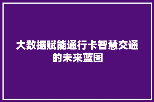 大数据赋能通行卡智慧交通的未来蓝图