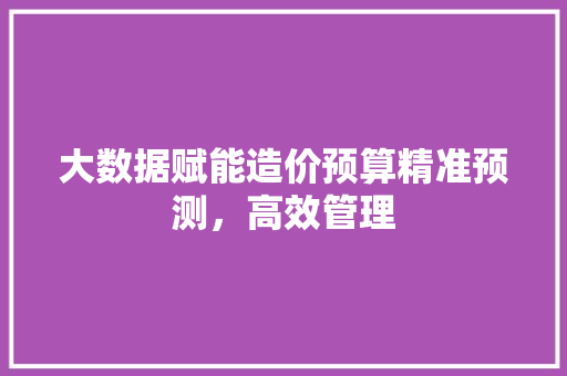 大数据赋能造价预算精准预测，高效管理