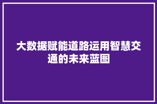 大数据赋能道路运用智慧交通的未来蓝图
