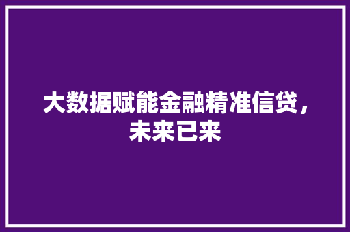 大数据赋能金融精准信贷，未来已来
